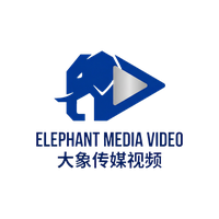 大象传媒视频Logo